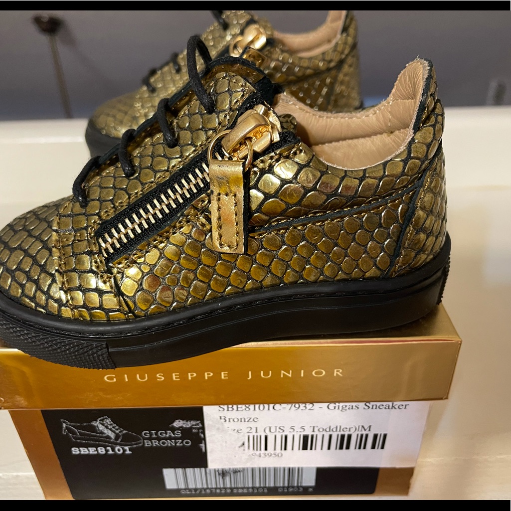 Giuseppe Zanotti